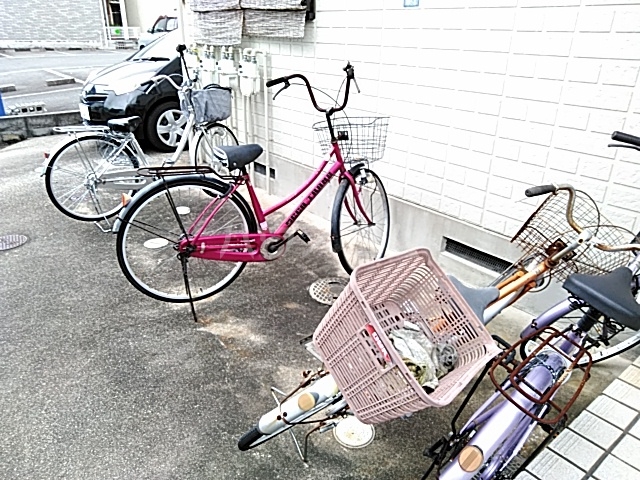 その他画像