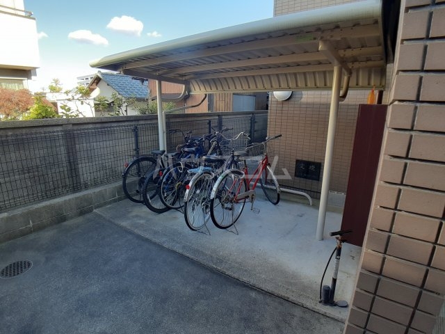 21/24 その他画像