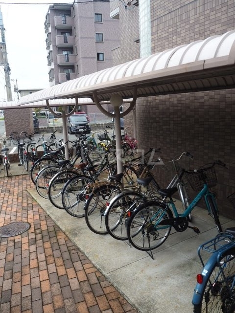 15/17 その他画像