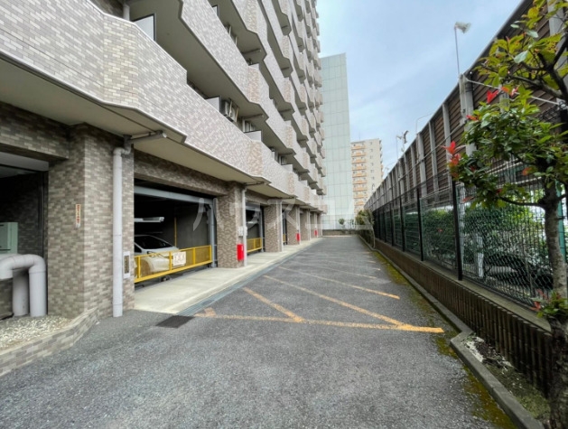 11/16 駐車場