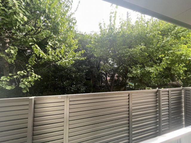 15/21 その他画像