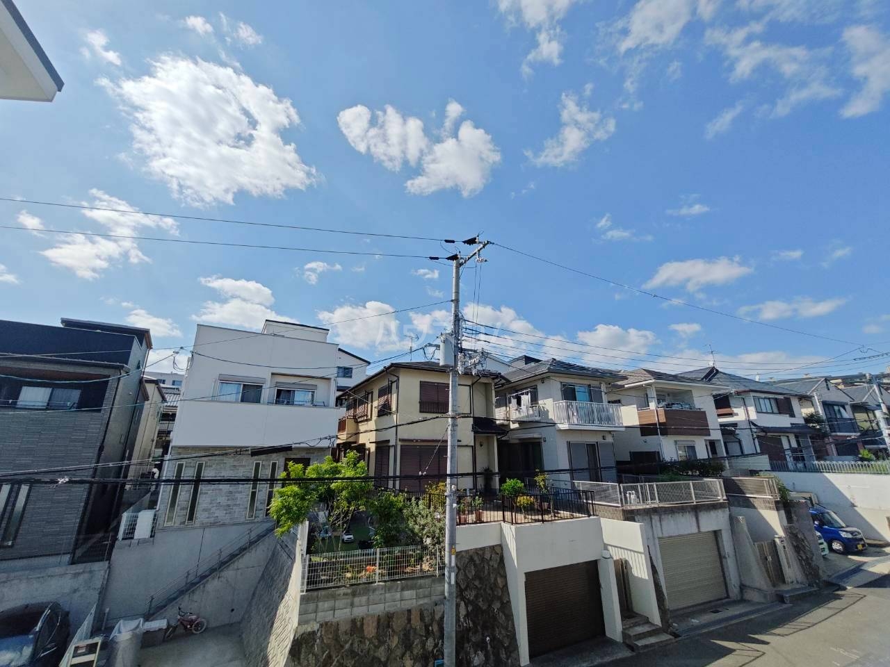 20/30 その他画像