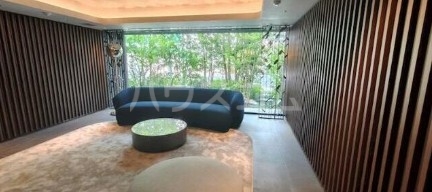 15/20 その他画像