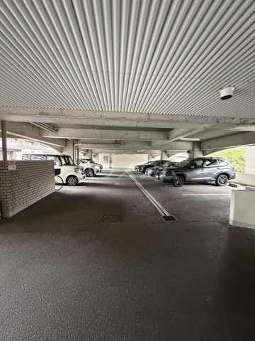 3/6 駐車場