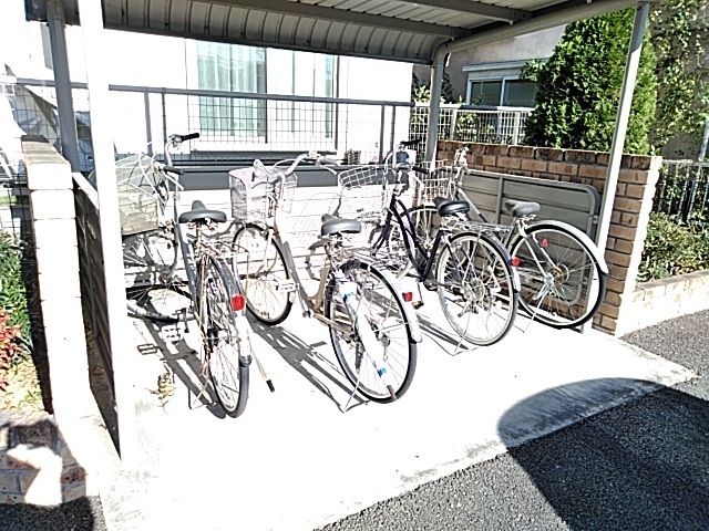 20/30 その他画像