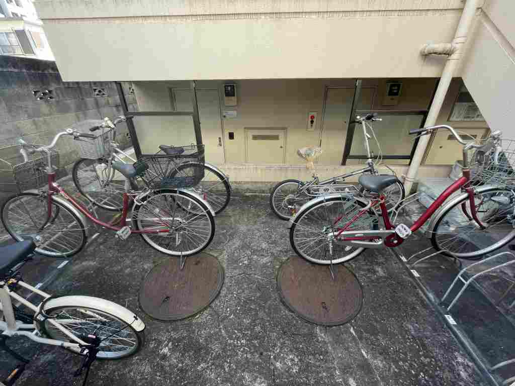 20/30 その他画像