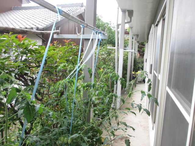 26/30 その他画像