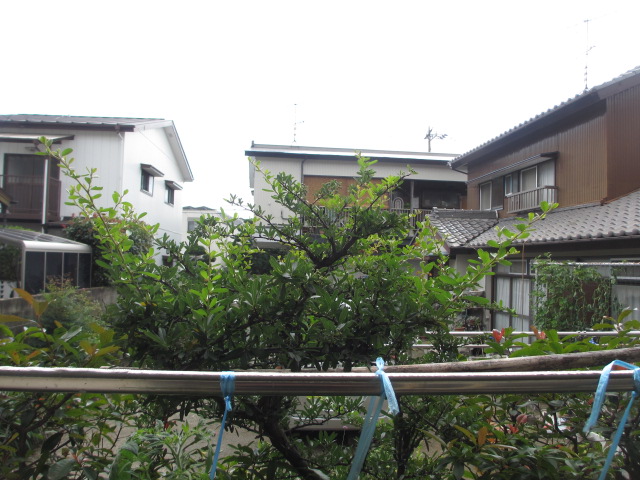 27/30 その他画像