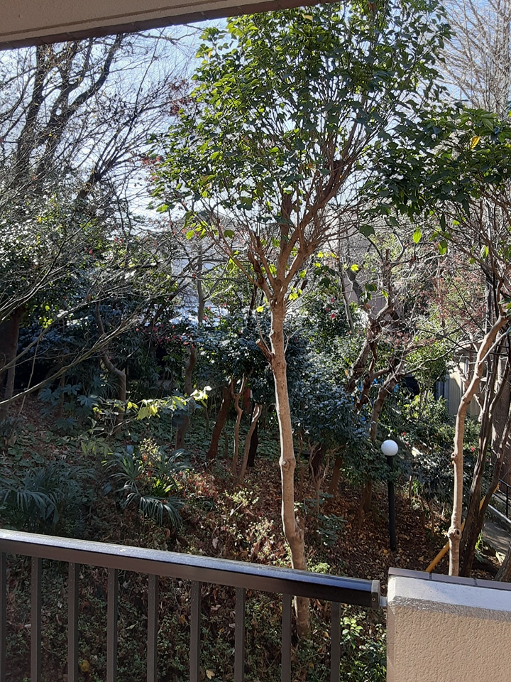 14/22 その他画像