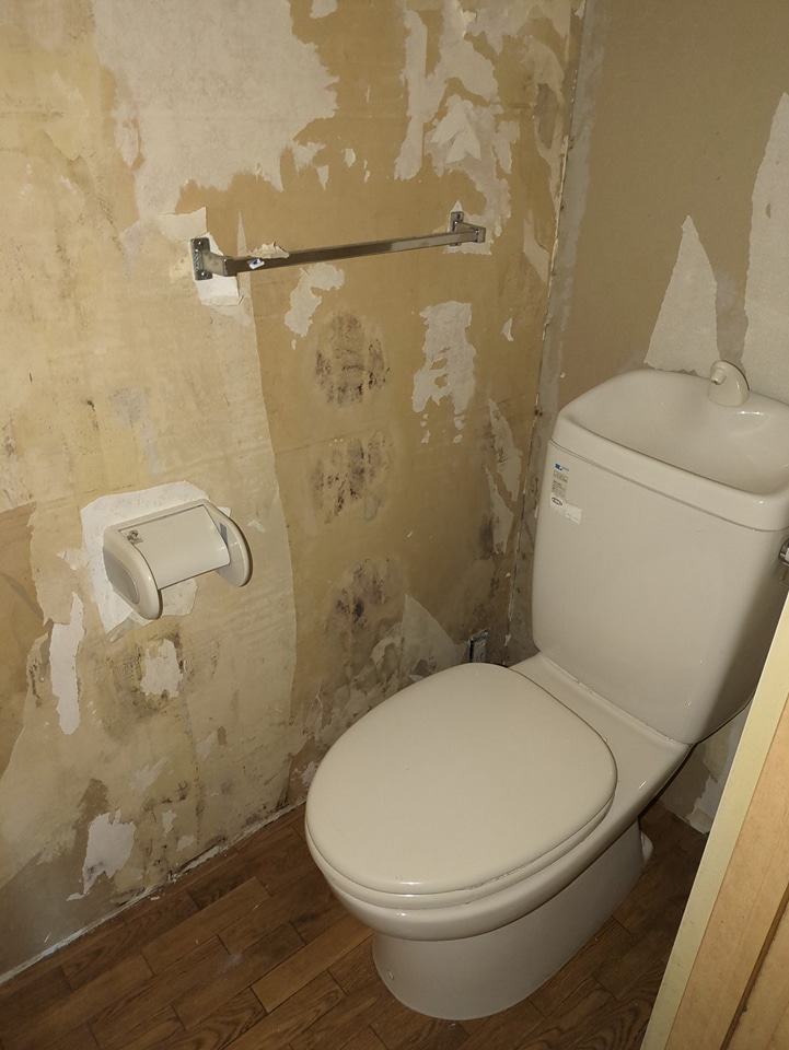 12/29 トイレ