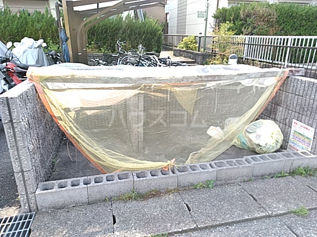 14/17 その他画像
