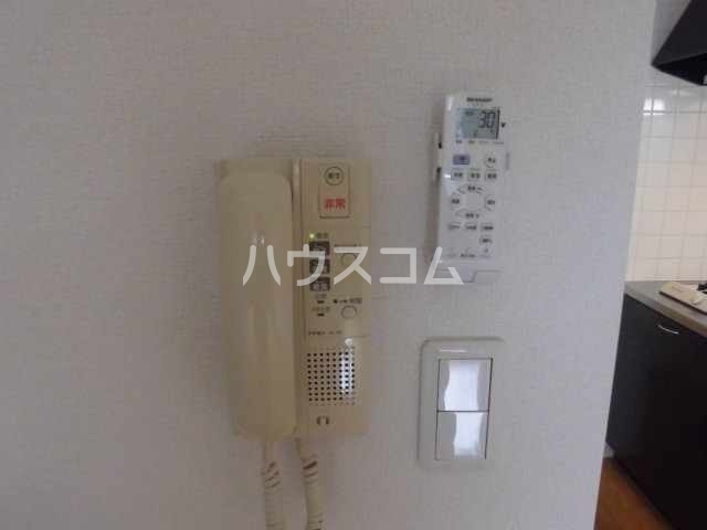 11/11 その他画像