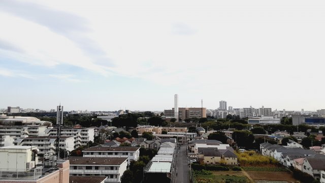 21/26 その他画像