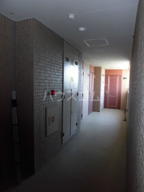 25/30 その他画像