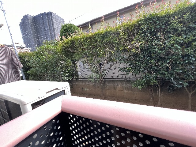 20/30 その他画像