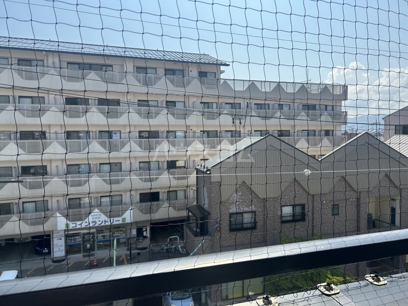 13/13 その他画像
