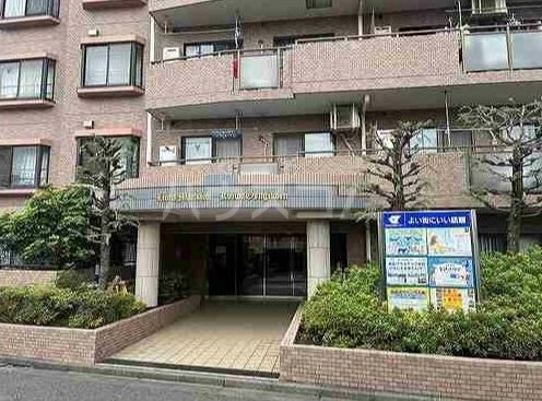 6/6 周辺