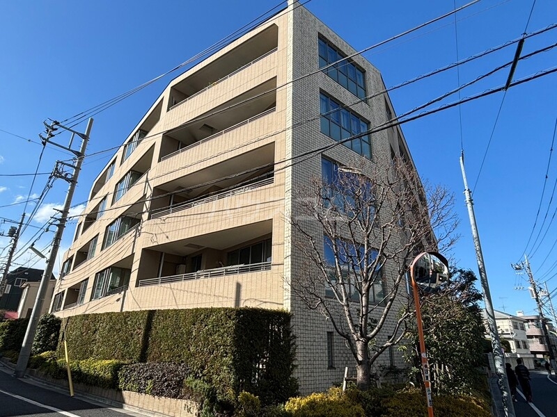 1/29 外観