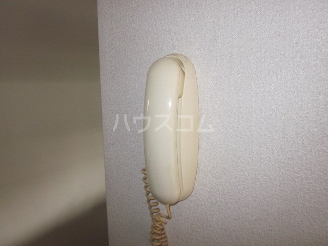 15/19 その他画像