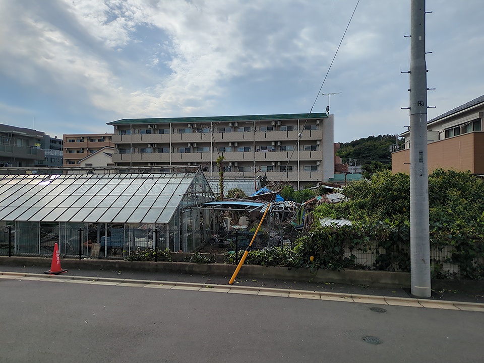 20/30 その他画像