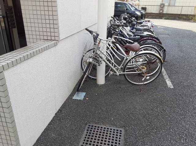 25/30 その他画像