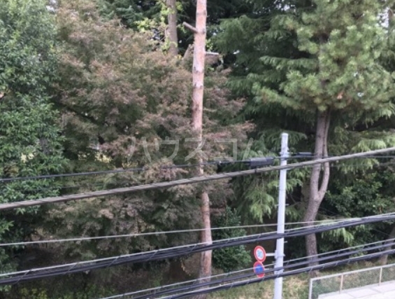 15/21 その他画像