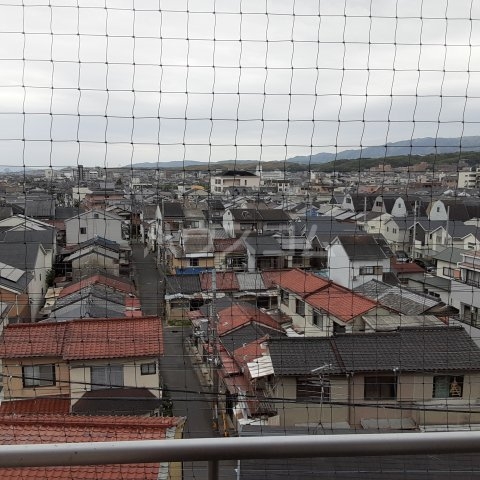 25/30 その他画像