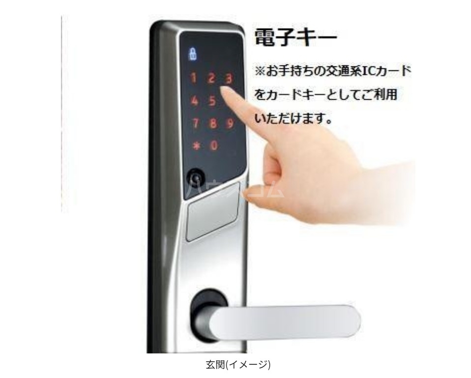 6/24 玄関