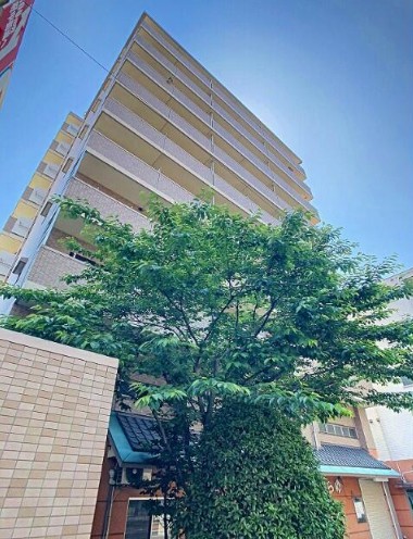 2/28 外観