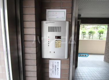 15/29 その他画像