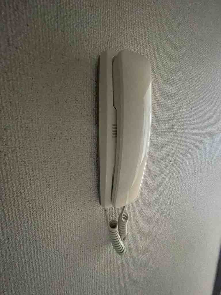 17/29 その他画像