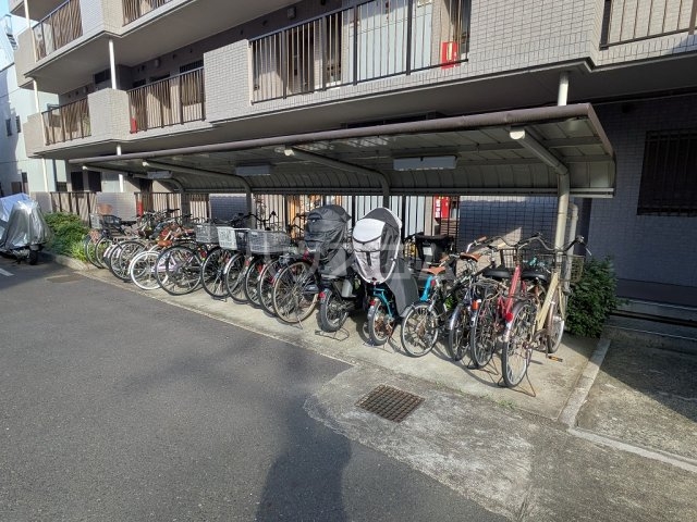 20/30 その他画像