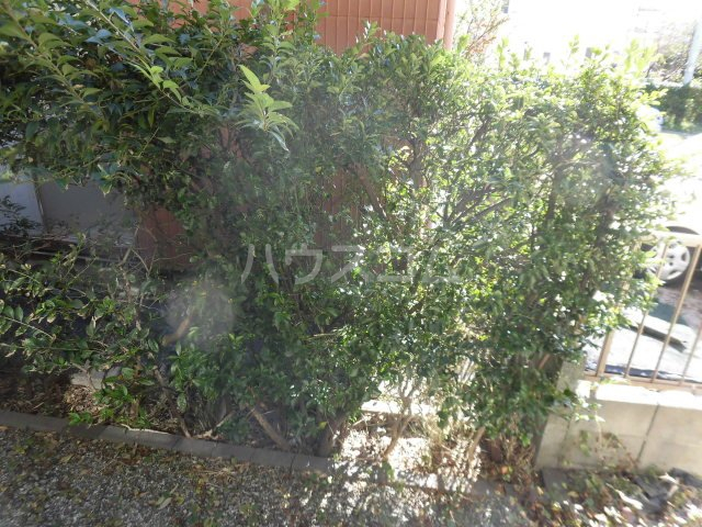 19/29 その他画像