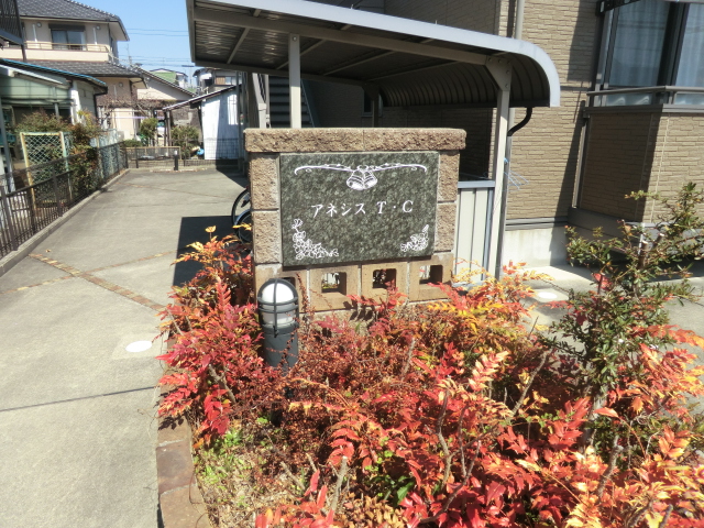 15/29 その他画像