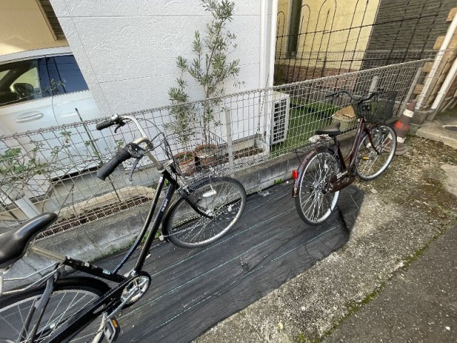 20/30 その他画像