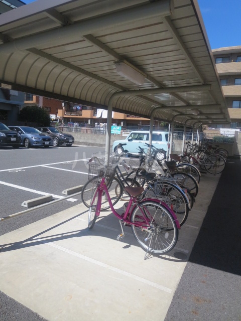 17/28 その他画像