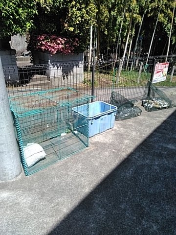 28/30 その他画像