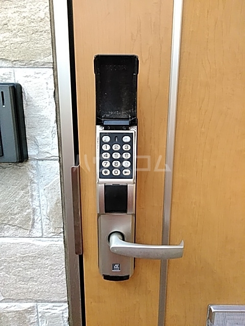 25/30 その他画像