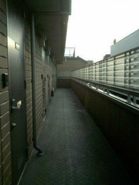 17/28 その他画像