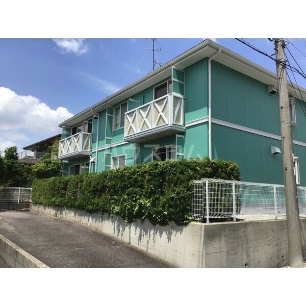 20/30 その他画像