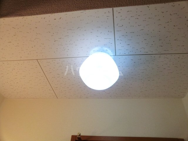 12/19 その他画像