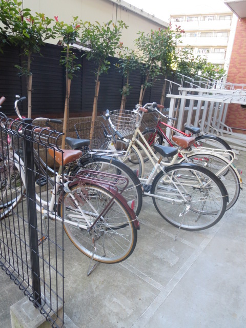 14/25 その他画像