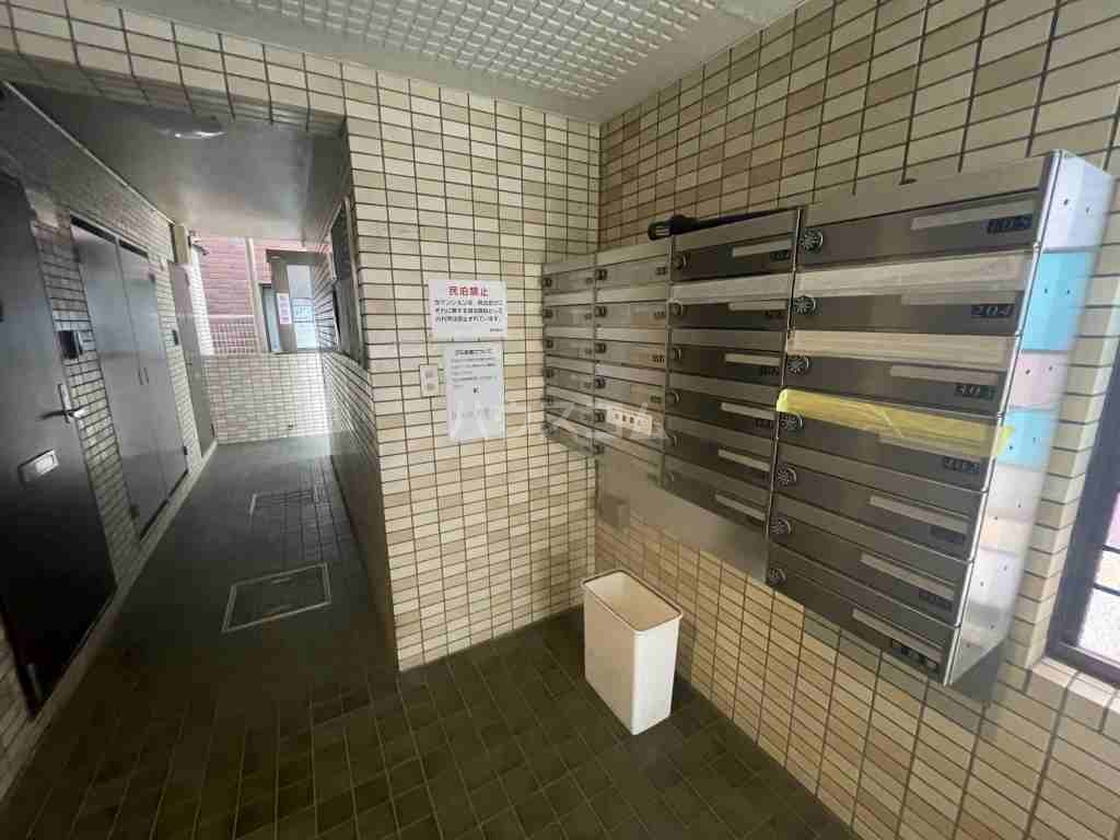 20/30 その他画像