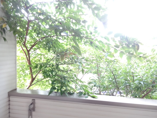 15/26 その他画像