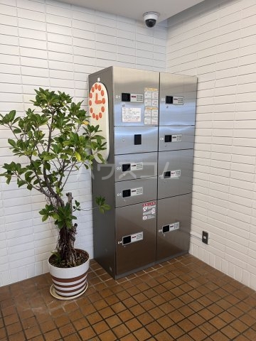 25/30 その他画像