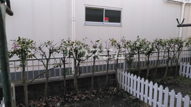 14/25 その他画像