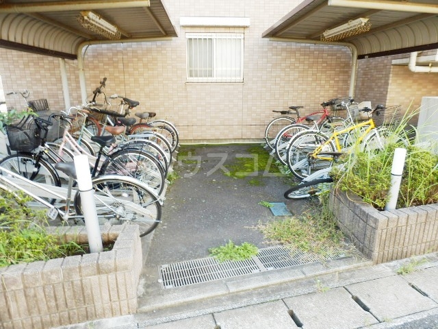 17/28 その他画像