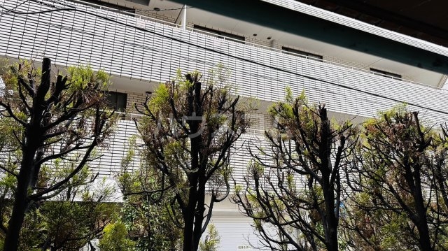 22/25 その他画像