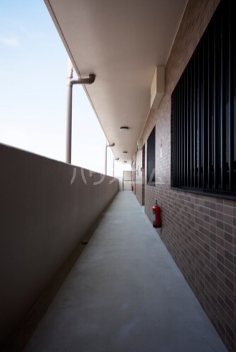 11/24 その他画像