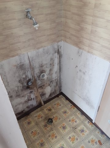 21/28 その他画像